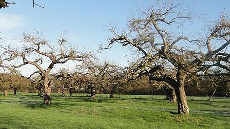 Erfbeplanting presentatie